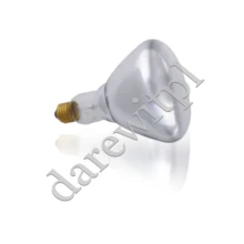 Żarówka promiennik do restauracji