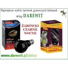 zarowki-do-terrarium-gadow-nocne