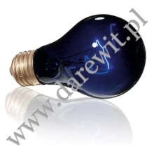 Żarówka nocna niebieska 50W terrarium Night Heat EXO TERRA PT2126 Żarówka nocna niebieska 50W terrarium Night Heat EXO TERRA PT2126