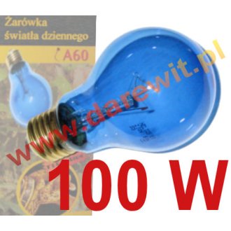 Dzienna żarówka 100W , lampa do terrarium UVA 