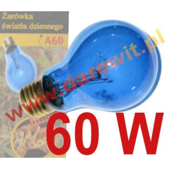 Dzienna żarówka 60W odpowiednik światła dziennego, niebieska żarówka