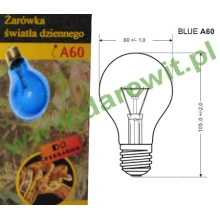 Dzienna żarówka 60W odpowiednik światła dziennego, niebieska żarówka