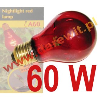Night Heat 60W, NightGlo Red Reptile Bulb, 60W żarówka nocna do terrarium 
