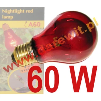Night Heat 60W Red Reptile Bulb dla terrarystów
