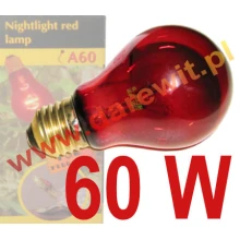 Night Heat 60W Red Reptile Bulb dla terrarystów