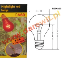 zarowki-nocne-dla-gadow-terrarium