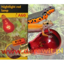 czerowna-zarowka-do-terrarium-wezy