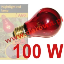 zarowka-nocna-100W-E27-do-terrarium