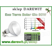 lampa uv dla żółwia lampa uv dla żółwia