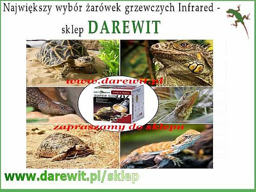 UVB dla gadów żarówka Super Sun