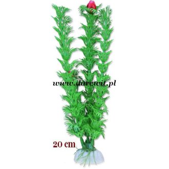 Zielona roślina do terrarium tropikalnego 20cm 2B/34z