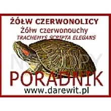 Czego wiesz o żółwiu wodnym? Poradnik hodowcy za free